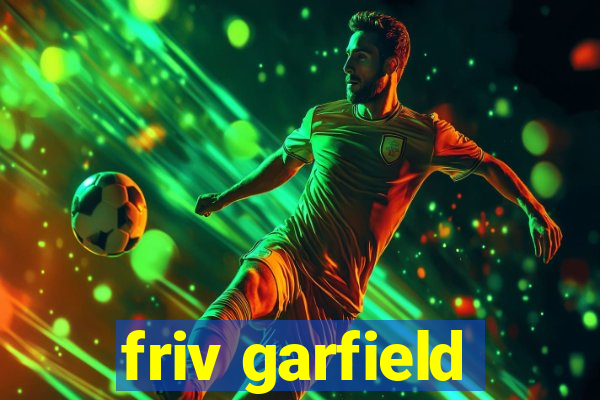 friv garfield